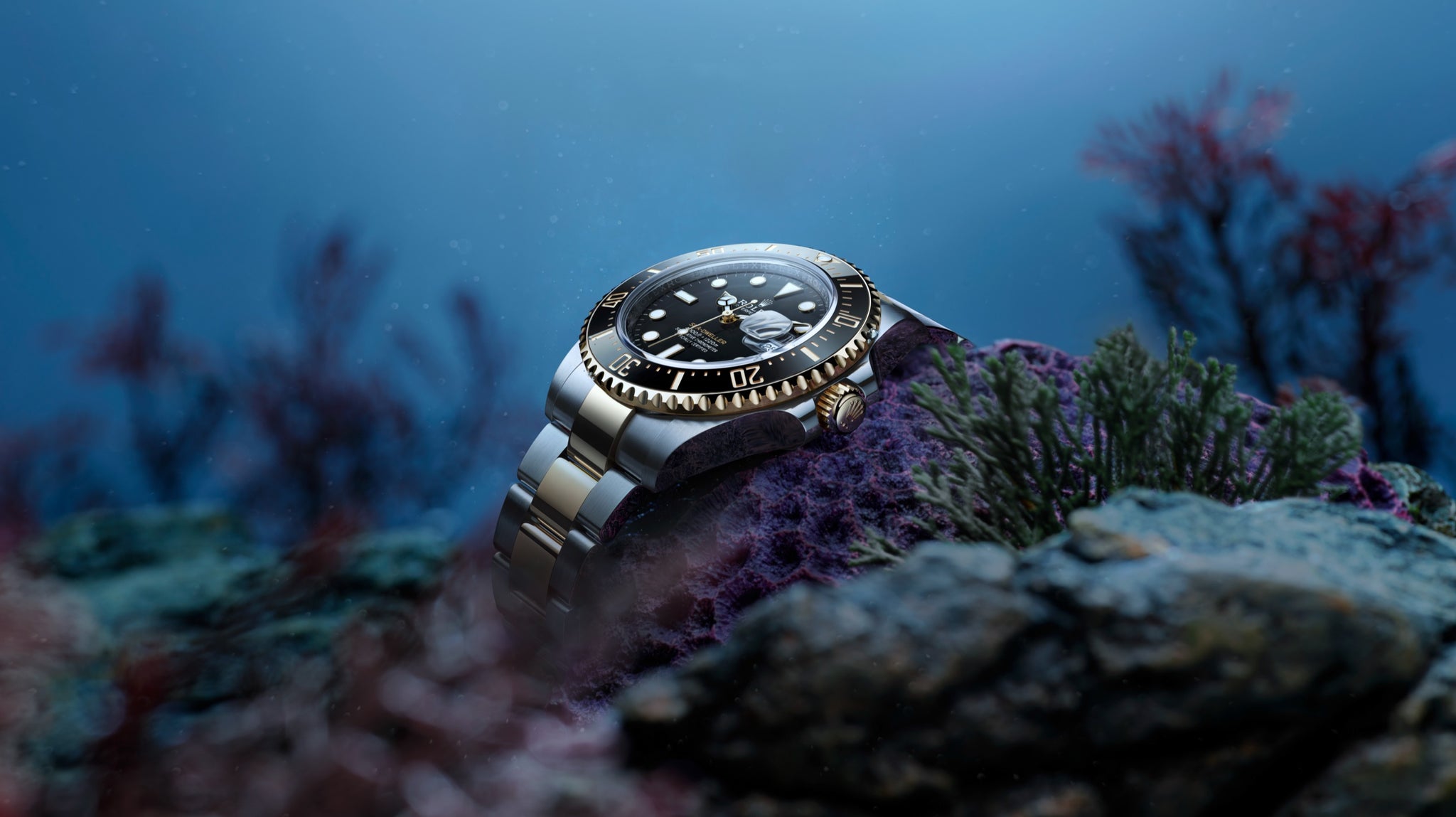 OYSTER PERPETUAL SEA-DWELLER