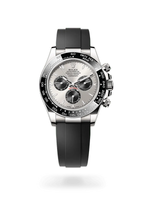 Oyster, 40 mm, oro blanco | M126519LN-0006