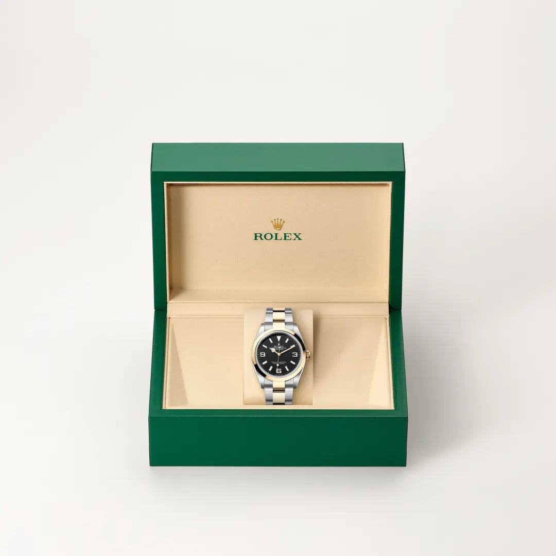 Oyster, 36 mm, acero Oystersteel y oro amarillo | M124273-0001