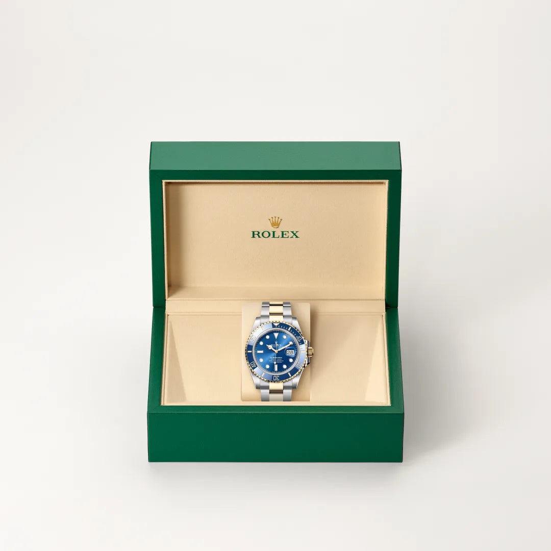 Oyster, 41 mm, acero Oystersteel y oro amarillo | M126613LB-0002
