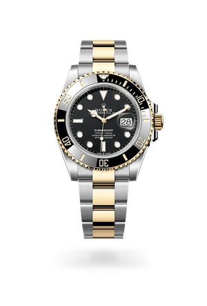 Oyster, 41 mm, acero Oystersteel y oro amarillo | M126613LN-0002